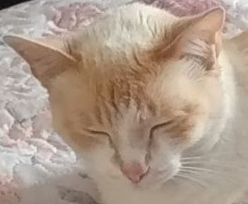 aquasp's profile'
